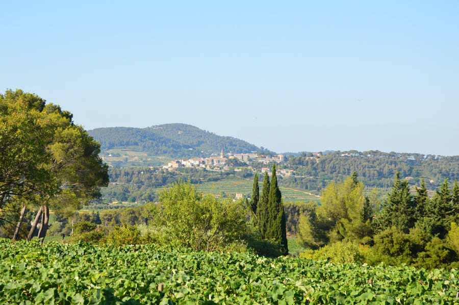 Bandol 2021 - Domaine de la Tour du Bon