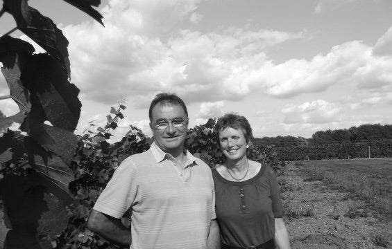 Cour-Cheverny "Francois Ier" Domaine des Huards 2020