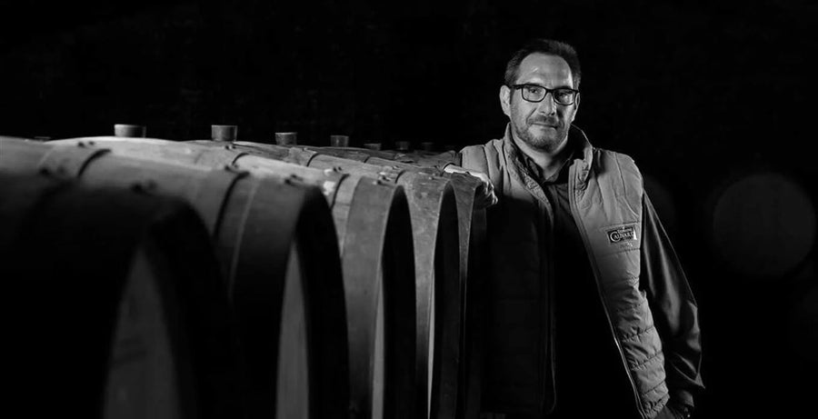 Volnay Domaine Cauvard 2023