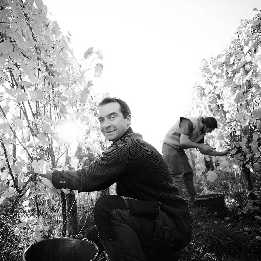 Alsace Grand Cru Eichberg Paul Gashy 2015