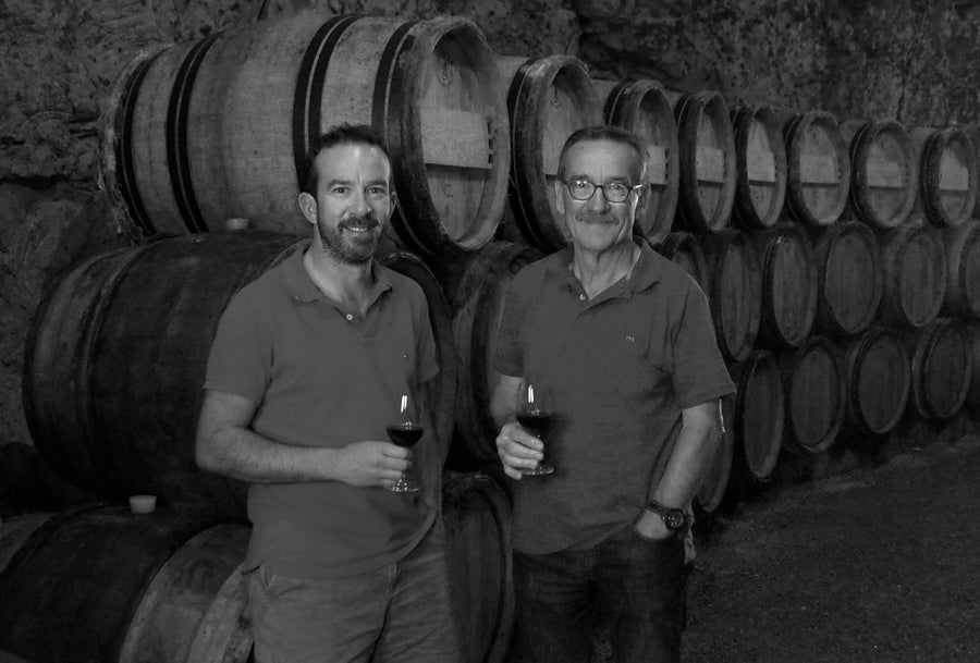 Chinon "La Croix Boissée" Bernard Baudry 2020