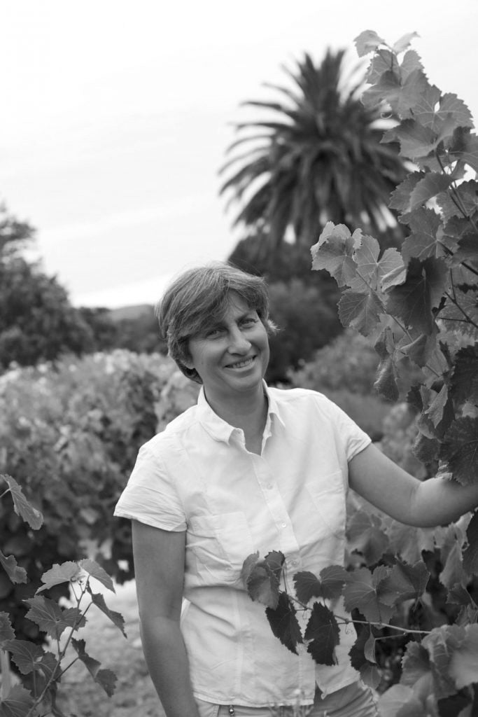 Bandol "Saint Ferréol" Domaine de la Tour Du Bon